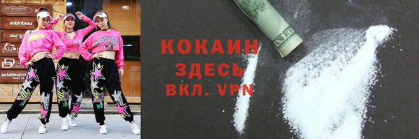гидра Михайловка