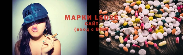 ПСИЛОЦИБИНОВЫЕ ГРИБЫ Бикин
