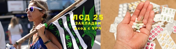 гидра Михайловка