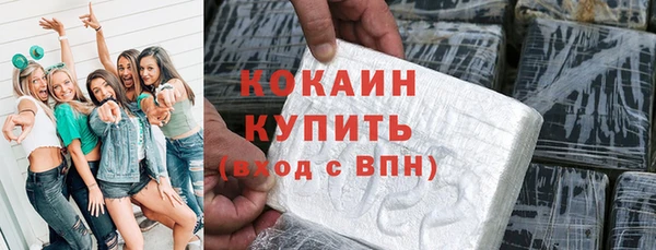 гидра Михайловка