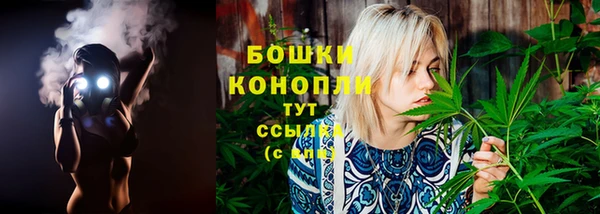 хмурый Мегион