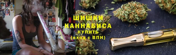 гидра Михайловка