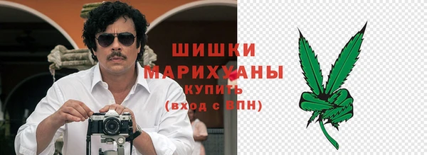 гидра Михайловка
