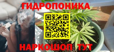 каннабис Аргун