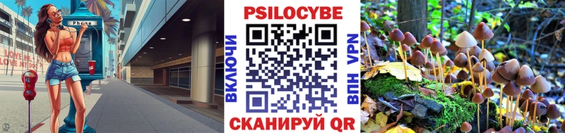 Псилоцибиновые грибы GOLDEN TEACHER  Апрелевка 