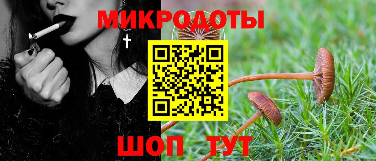 Псилоцибиновые грибы Psilocybe Апрелевка