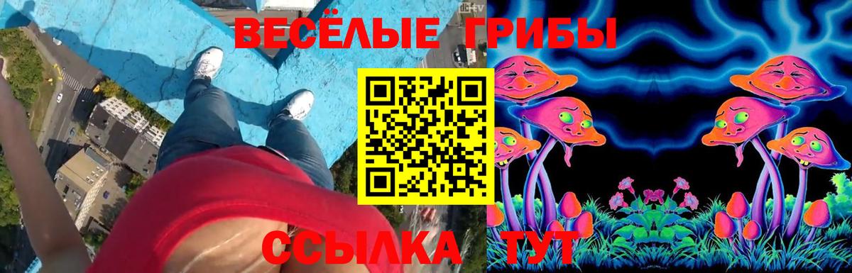 Псилоцибиновые грибы Cubensis Апрелевка